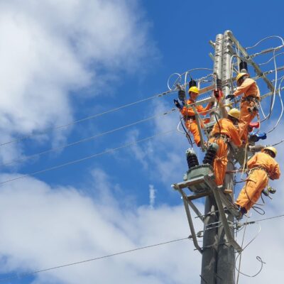 Thi công đường dây trung thế 22kv cấp điện cho trang trại nông nghiệp